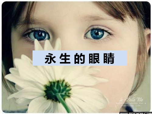 语文s版小学六年级下册《永生的眼睛》课件