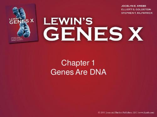 Gene X ppt (Gene10 基因十)--Chapter01