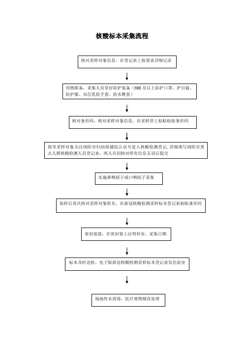 核酸标本采集流程