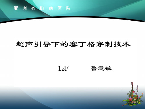 鲁慧敏 超声引导下的塞丁格穿刺技术