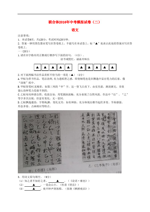 江苏省南京市联合体(六合区、栖霞区等五区)中考语文模拟试题(二)