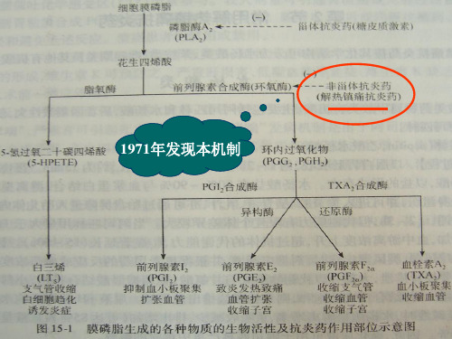 最新药理学课件-解热镇痛抗炎药-PPT文档