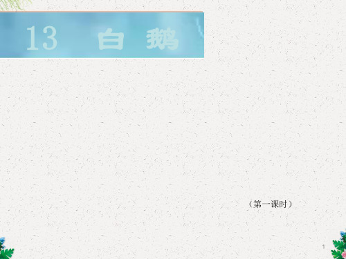 人教新课标语文四年级上册：4.13  白鹅  课件(共18张PPT)