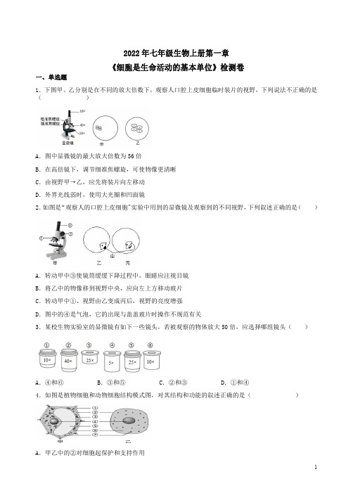 2022年七年级生物上册第一章《细胞是生命活动的基本单位》检测卷附答案