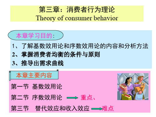 消费者行为理论讲义课件