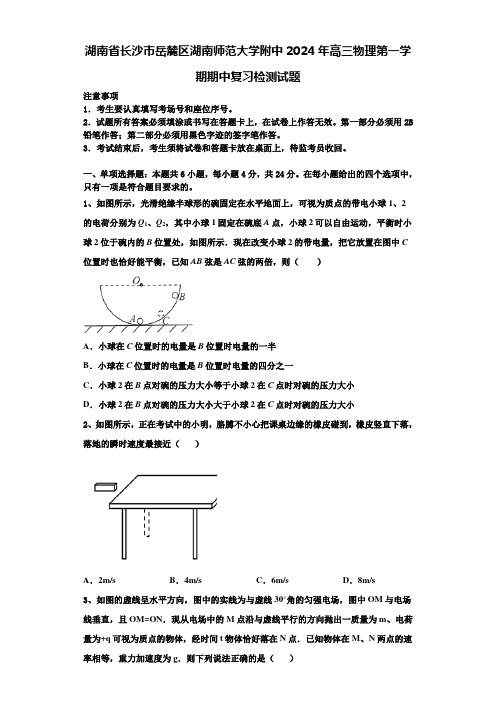 湖南省长沙市岳麓区湖南师范大学附中2024年高三物理第一学期期中复习检测试题含解析