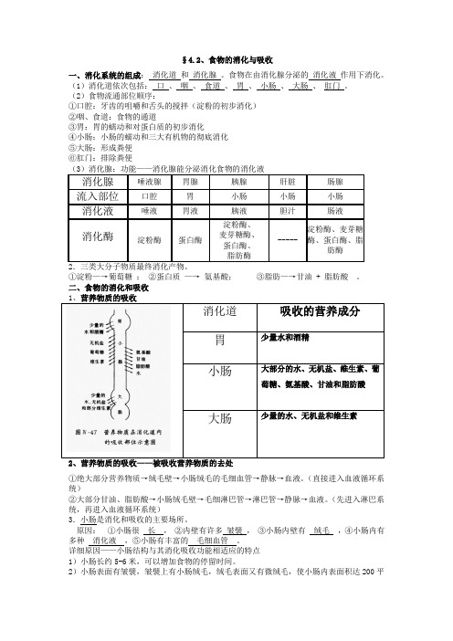 4.2、食物的消化与吸收