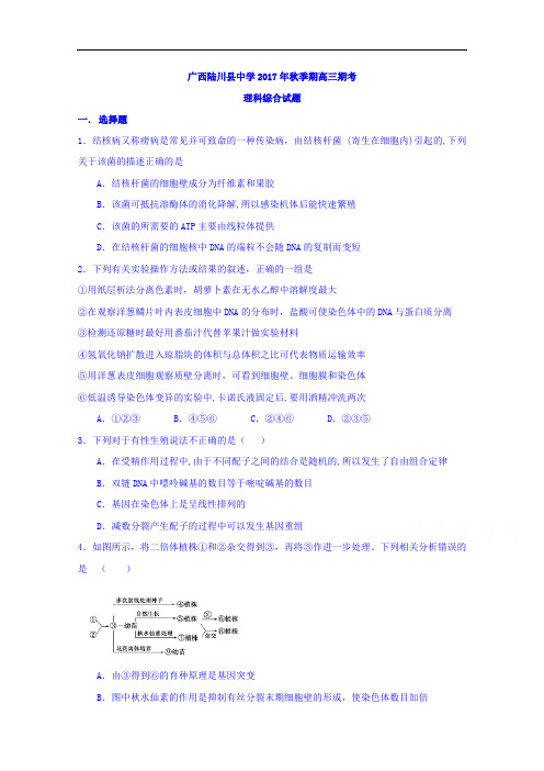 2018届广西陆川县中学高三上学期期末考试理科综合试题