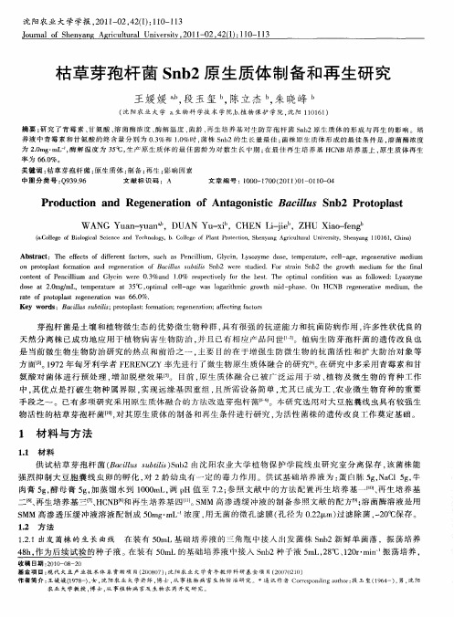 枯草芽孢杆菌Snb2原生质体制备和再生研究