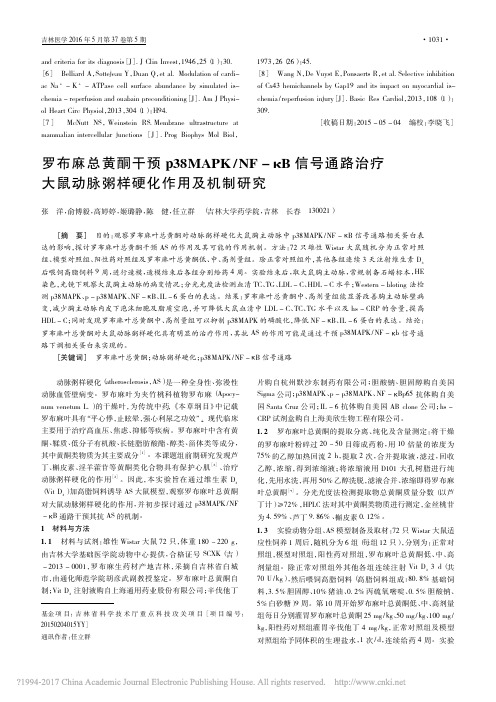 罗布麻总黄酮干预p38MAPK__省略_疗大鼠动脉粥样硬化作用及机制研究_张洋