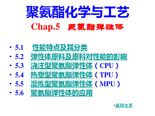 聚氨酯化学与工艺10弹性体