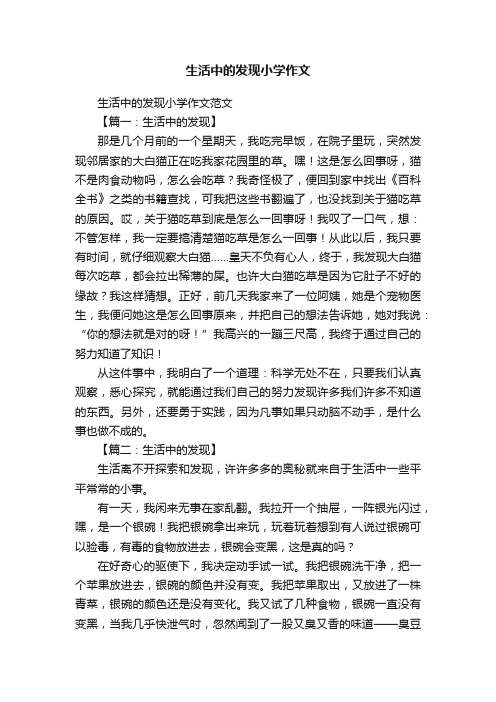 生活中的发现小学作文