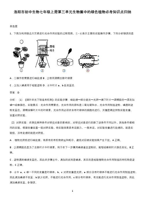 洛阳市初中生物七年级上册第三单元生物圈中的绿色植物必考知识点归纳