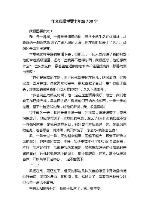 作文我很重要七年级700字