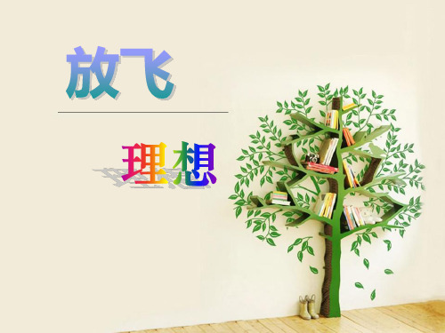 《放飞理想》 完美课件