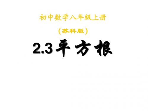 2.3 平方根(第2课时)