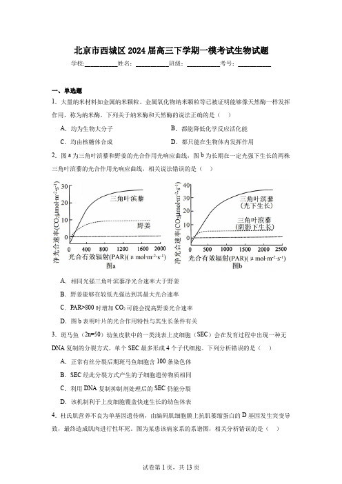 北京市西城区2024届高三下学期一模考试生物试题