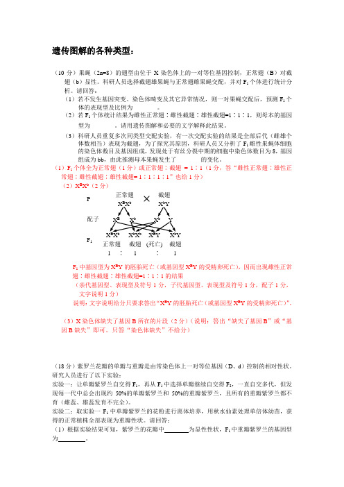 遗传图解的各种类型