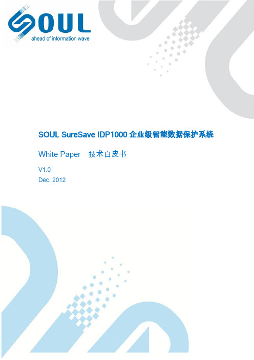 SureSave IDP1000技术白皮书