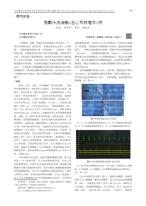 房颤冷冻消融+左心耳封堵术1例