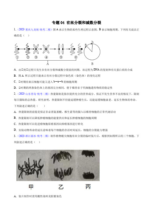 专题04有丝分裂和减数分裂(原卷版)