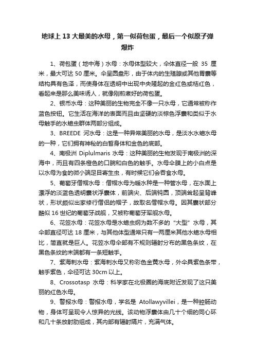 地球上13大最美的水母，第一似荷包蛋，最后一个似原子弹爆炸