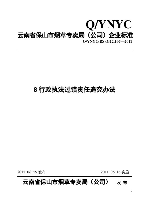 行政执法过错责任追究办法