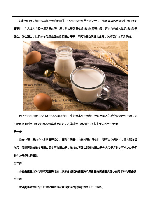 还不知道如何补充蛋白质吗？来看看蛋白粉的作用