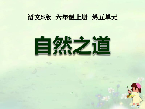 202X语文S版语文六上《自然之道》ppt课件