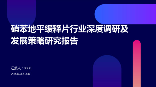 硝苯地平缓释片行业深度调研及发展策略研究报告