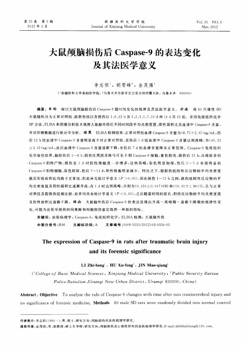 大鼠颅脑损伤后Caspase-9的表达变化及其法医学意义