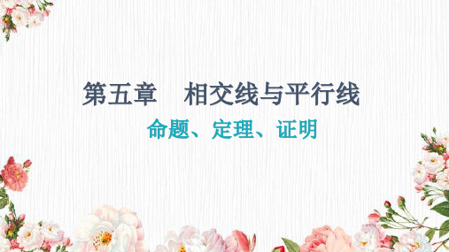 人教版七年级数学下册课件： 命题、定理、证明