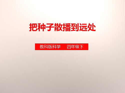 教科版四年级科学下册《把种子散播到远处》PPT课件(4篇)