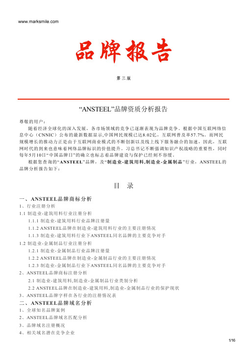 ANSTEEL的品牌资质分析报告