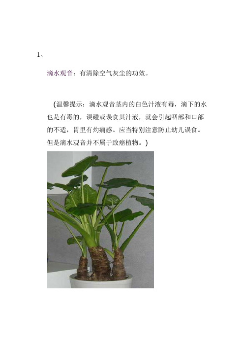 十八种室内常见绿色植物的功效