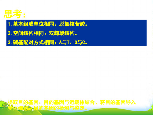 人教版高中生物选修3课件：专题1 基因工程 (共36张PPT)