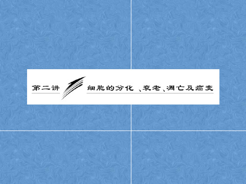 高中生物生物必修一细胞的分化、衰老、凋亡及癌变