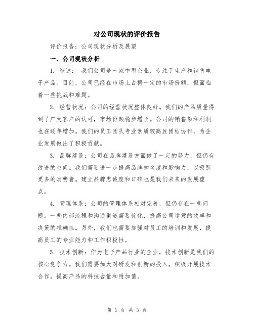 对公司现状的评价报告