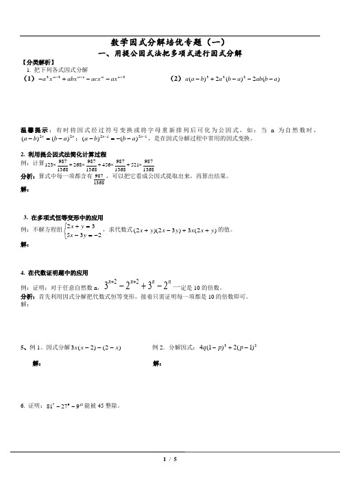 6因式分解培优专题(一)