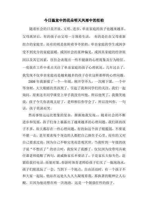 我的教育故事教案22