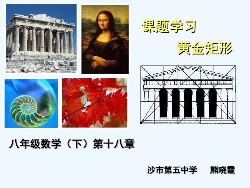 数学人教版八年级下册课题学习：黄金矩形