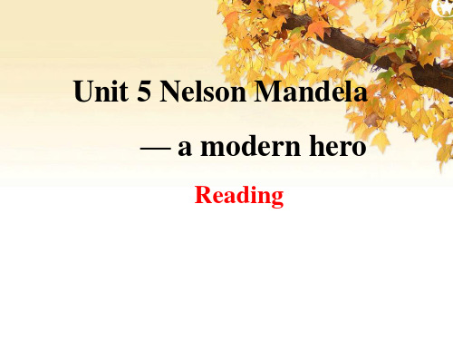 Unit5 Nelson Mandela reading公开课优质课件