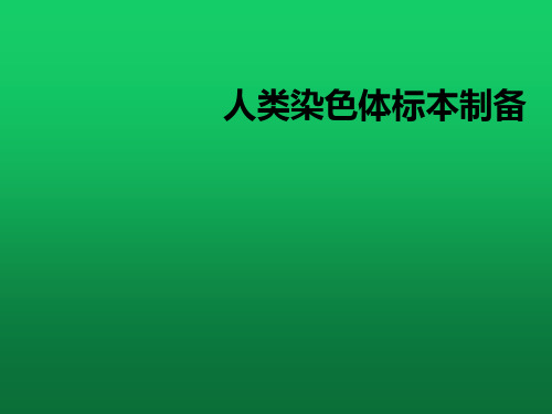 人类染色体标本制备