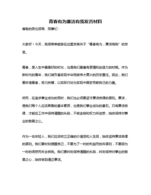 青春有为廉洁有我发言材料