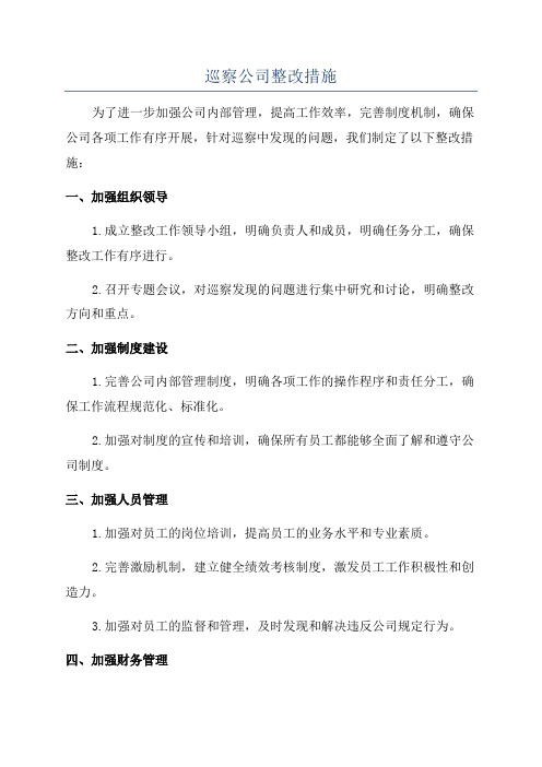 巡察公司整改措施