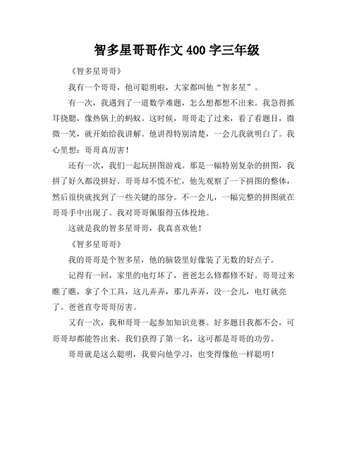 智多星哥哥作文400字三年级