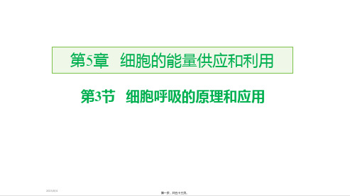 新教材人教版高中生物必修一 5-3 细胞呼吸的原理和应用 教学课件