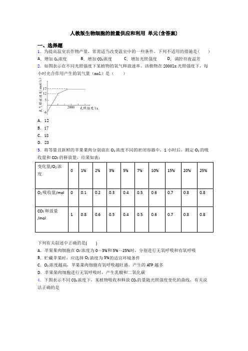 人教版生物细胞的能量供应和利用 单元(含答案)