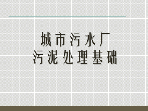 城市污水厂污泥处理基础培训PPT课件