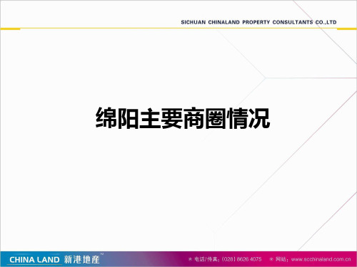 2012四川绵阳主要商圈情况调查报告